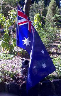 Proud Aussie Dog, Bess at St Vincent Gardens, Albert Park